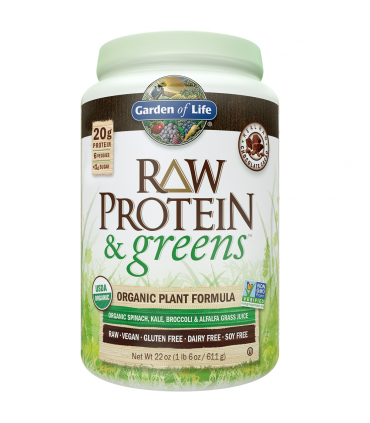 가든오브라이프 생오가닉 프로틴&그린 초코렛맛 610g