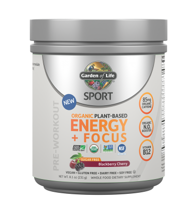 가든오브라이프 스포츠 오가닉 에너지+포커스 슈가프리 블랙베리맛 231g