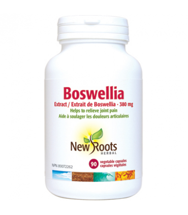 뉴루츠 보스웰리아 추출액 380mg 90캡슐