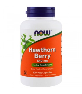 나우푸드 호손 베리 550mg 100베지캡슐