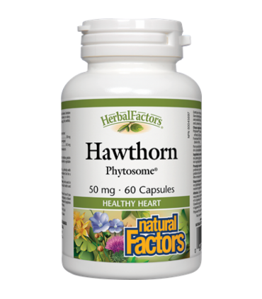 내츄럴 팩터스 호손 파이토솜 50mg 60캡슐