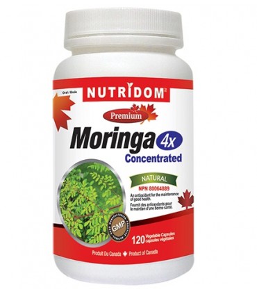 뉴트리돔 모링가 4X농축 120베지캡슐