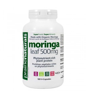 프레리 내츄럴스 오가닉 모링가잎 500mg 180베지캡슐,유기농 모링가(moringa oleifera)
