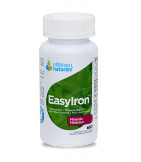 플래티넘 이지 철분 120 정