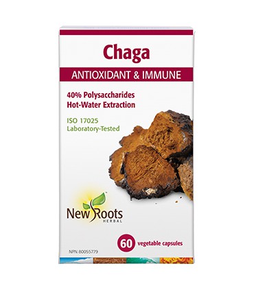 뉴루츠 차가버섯 350mg 40%다당류 60베지캡슐