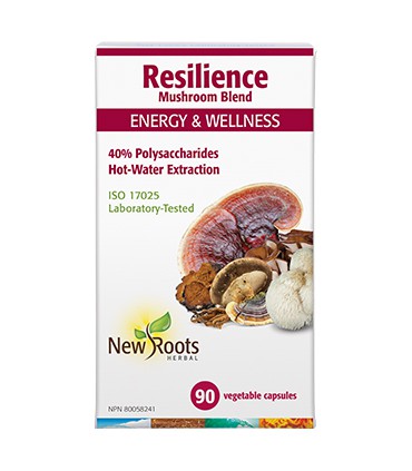 뉴루츠 리질리언스(7가지버섯 혼합) 500mg 40%다당류 90베지캡슐