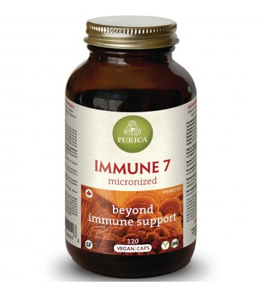 퓨리카 이뮨7 (6가지 버섯 혼합) 422.8mg 120베지캡슐