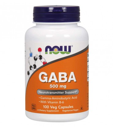 나우푸드 가바 500mg + B-6 100베지캡슐