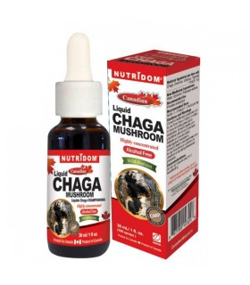 뉴트리돔 캐나디언 차가버섯 30ml