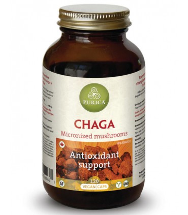 퓨리카 차가버섯 400mg 120베지캡슐