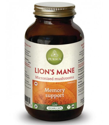 퓨리카 라이온스매인/노루궁뎅이버섯 400mg 120베지캡슐