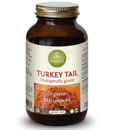 퓨리카 코리오러스/운지버섯 500mg 120베지캡슐