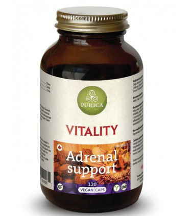 퓨리카 바이탈리티 (버섯, 허브 혼합) 400mg 120베지캡슐