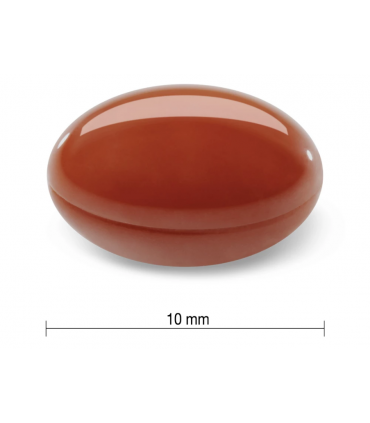 루테인 20mg 지아잔틴 자미에슨,눈건강 캐나다영양제 캐나다비타민 캐나다직구