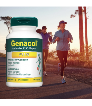 제나콜 아미노록 콜라겐 플러스 90정 콜라겐 + 글루코사민 캐나다직발송 캐나다직구