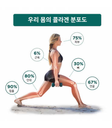 제나콜 아미노록 콜라겐 플러스 90정 콜라겐 + 글루코사민 캐나다직발송 캐나다직구