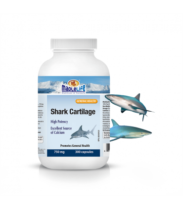 메이플라이프 샤크 카트리지 상어연골 750mg 300캡슐 캐나다직발송 천연칼슘영양제