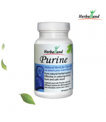 허벌랜드 퓨린 120정 천연생약성분 캐나다직발송 캐나다영양제