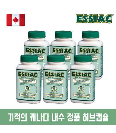 에시악 허벌 베지캡스 60캡슐 6병 도매가