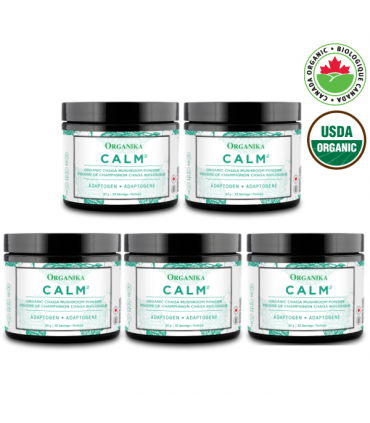 유기농 차가버섯 파우더 분말 50g 캐나다산 직발송