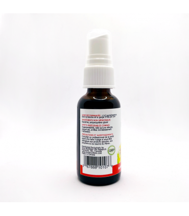 비 프로폴리스 스프레이 캐나다산 30ml 플라보노이드 고함량 무알콜 스프레이