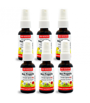 비 프로폴리스 스프레이 캐나다산 30ml 플라보노이드 고함량 무알콜 스프레이