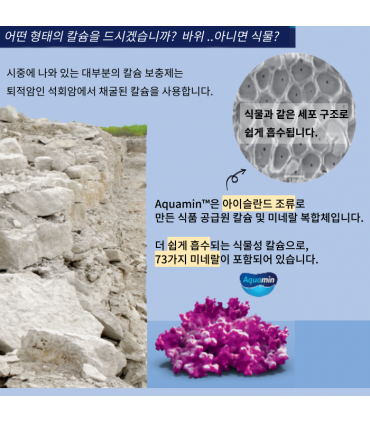 써티파이드 네추럴스 식물성 칼슘 마그네슘 K2 아쿠아민 6병