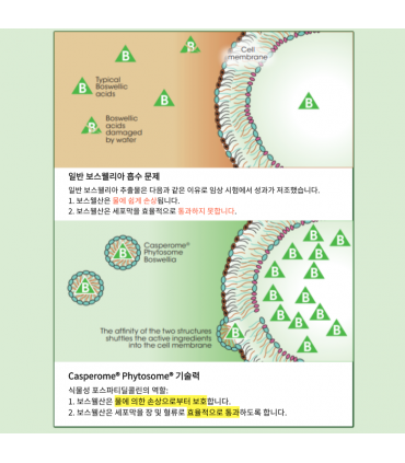 써티파이드 네추럴스 보스웰리아 60캡슐