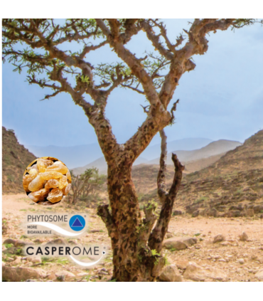 써티파이드 네추럴스 보스웰리아 60캡슐