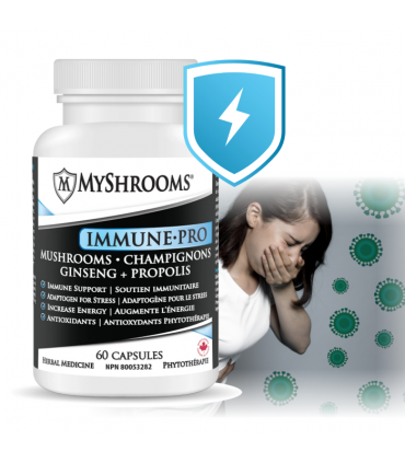 이뮨-프로 버섯균사체 60캡슐 면역력