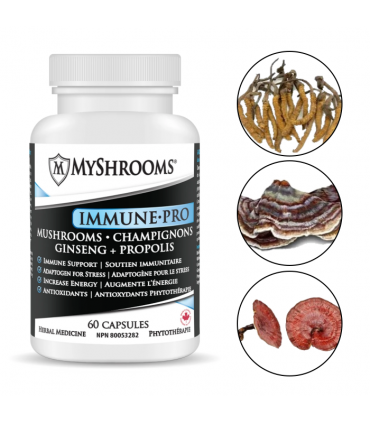 이뮨-프로 버섯균사체 60캡슐 6병