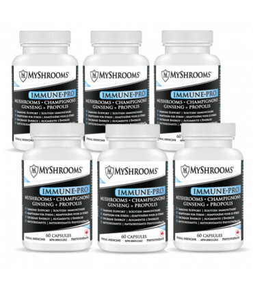이뮨-프로 버섯균사체 60캡슐 6병