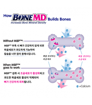 Bone MD 90캡슐 뼈 골다공증