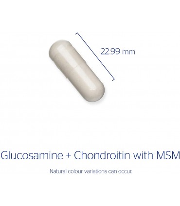 퓨어 인캡슐레이션 글루코사민 콘드로이친 MSM 식이유황 120캡슐