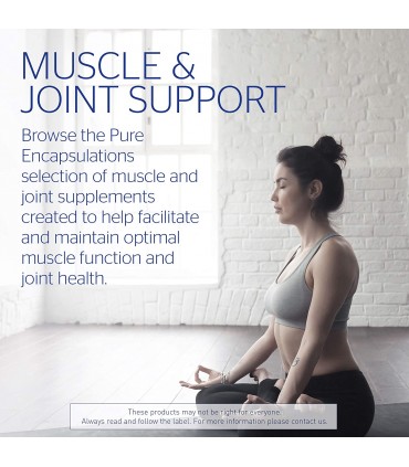 퓨어 인캡슐레이션 글루코사민 콘드로이친 MSM 식이유황 120캡슐