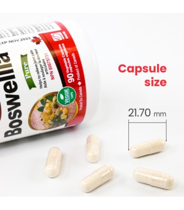 뉴트리돔 보스웰리아 90캡슐