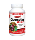 뉴트리돔 퀘르세틴 1200mg 120캡슐