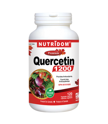뉴트리돔 퀘르세틴 1200mg 120캡슐