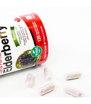 뉴트리돔 엘더베리 삼부커스 120정