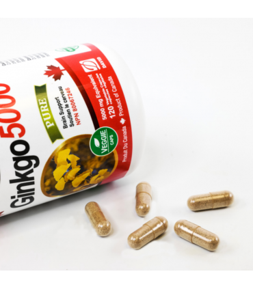 뉴트리돔 징코 5000mg 120정