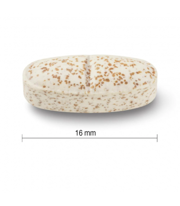 자미에슨 밀크씨슬 450mg 90정