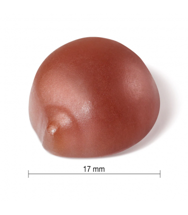 자미에슨 여성용 멀티비타민 구미 130정