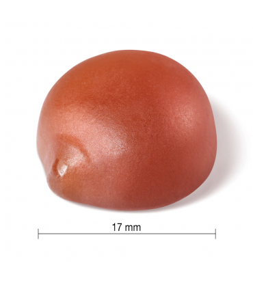 자미에슨 성인용 멀티비타민 구미 150정