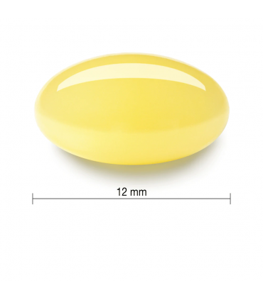 자미에슨 갈릭 300정