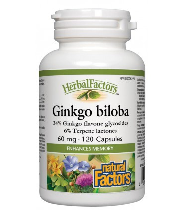 내츄럴 팩터스 징코빌로바(은행잎 추출물) 60mg 120캡슐