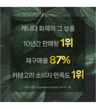 이노뉴트리션 브이맥스 파워 1600MG 60캡슐 캐나다 내수용 정품