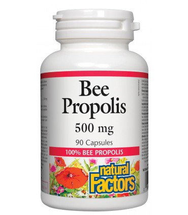내츄럴 팩터스 비 프로폴리스 500mg 90캡슐