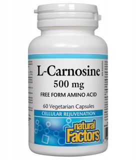 내츄럴 팩터스 L-카르노신 500mg 60캡슐