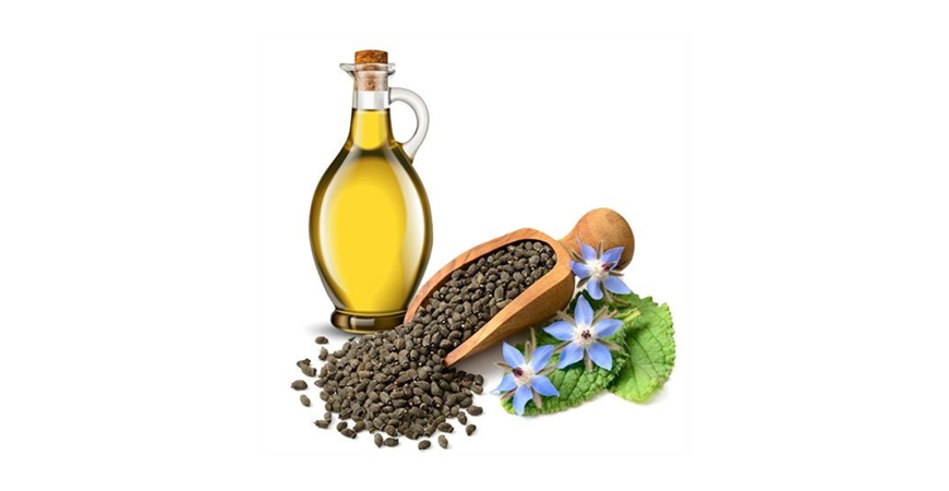 생리통 여성 갱년기 영양제,감마리놀렌산 (GLA) 함량이 가장 높은 보라지오일