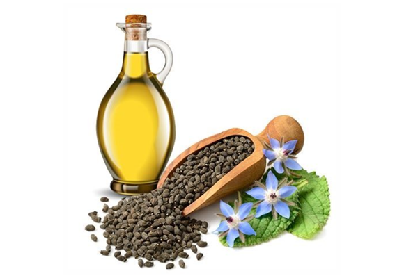 생리통 여성 갱년기 영양제,감마리놀렌산 (GLA) 함량이 가장 높은 보라지오일